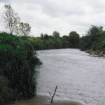 The Moyola beside the Riverbank Field​