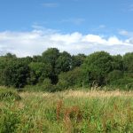 Grove Hill, near Mossbawn