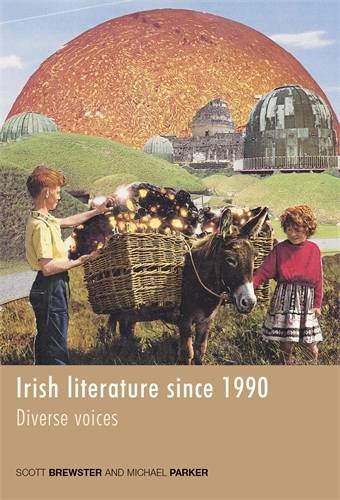 Book cover for Irish literature since 1990